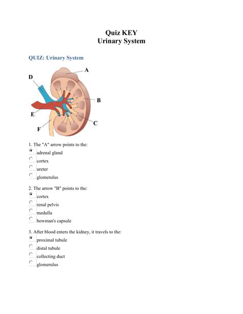 urinary drainage system test